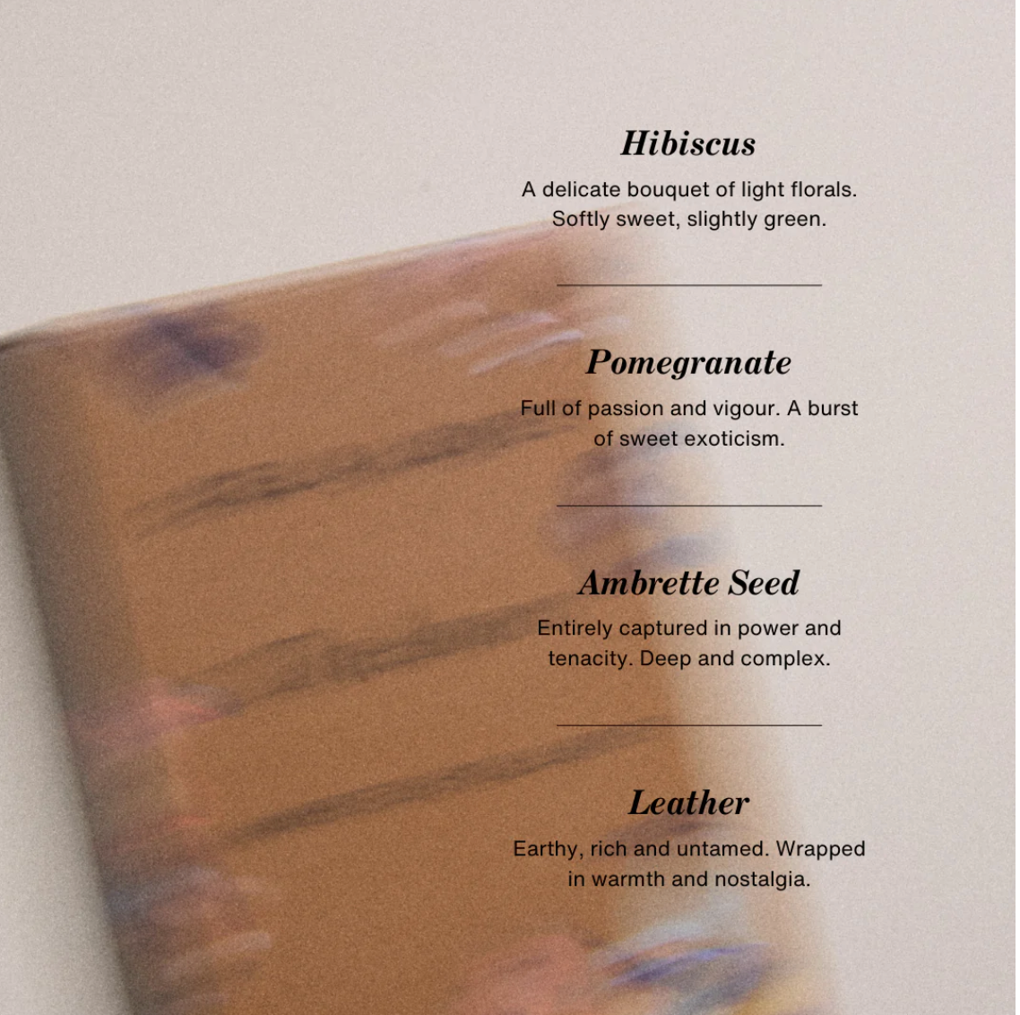 Celia Loves - Eau de Parfum | LOTTIE RAE The Amour 10ml - The Ivy Room Adelaide