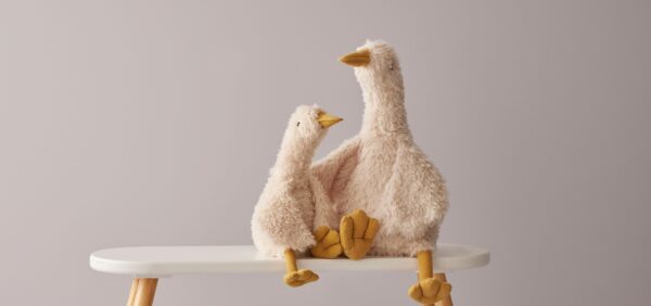 Jiggle & Giggle - Wiggles the Duck - The Ivy Room Adelaide