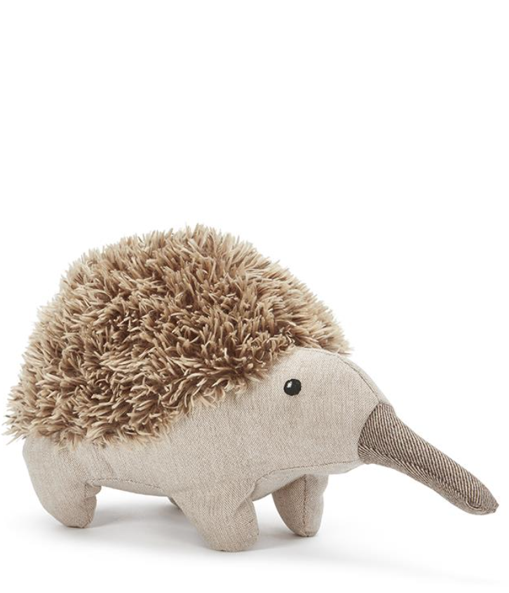 Nana Huchy - Spike the Echidna - The Ivy Room Adelaide