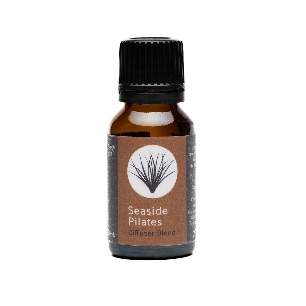 Kindred Self - Oil - The Ivy Room Adelaide