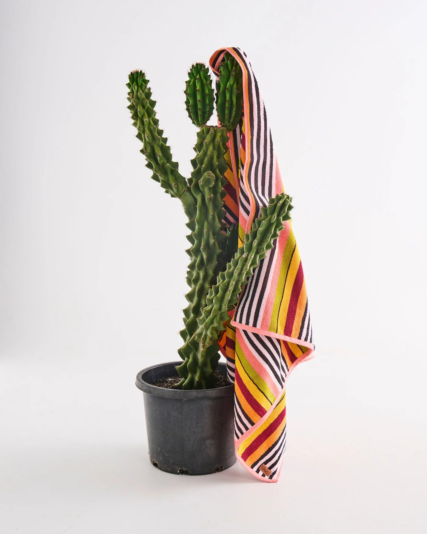 Kip & Co - Casablanca Stripe Terry Beach Towel