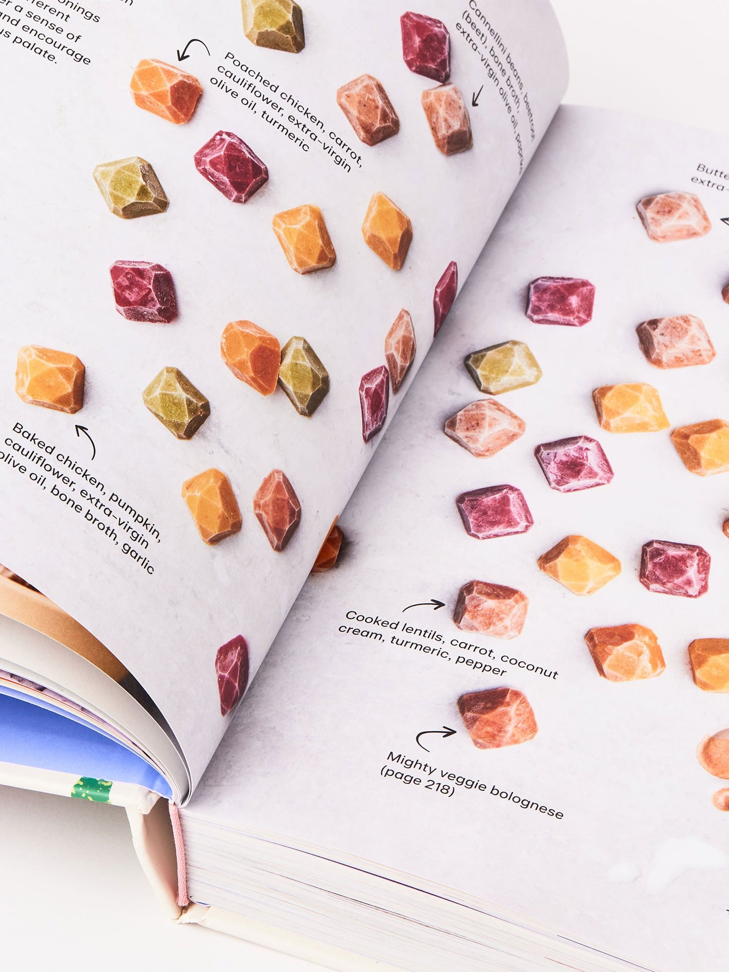 Baby Food Bible - Julia Tellidis & Lauren Skora