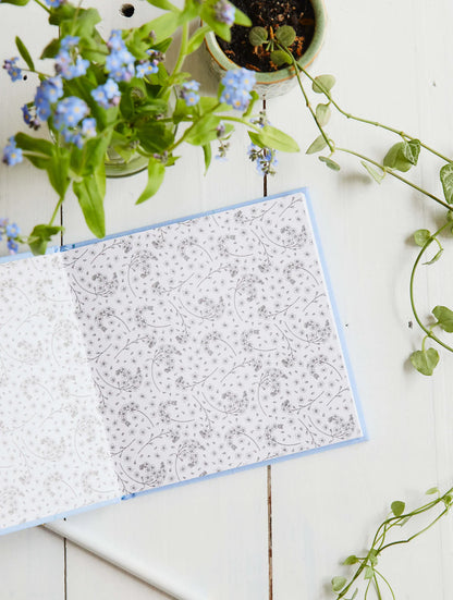 Write to Me - Everyday Gratitudes - The Ivy Room Adelaide