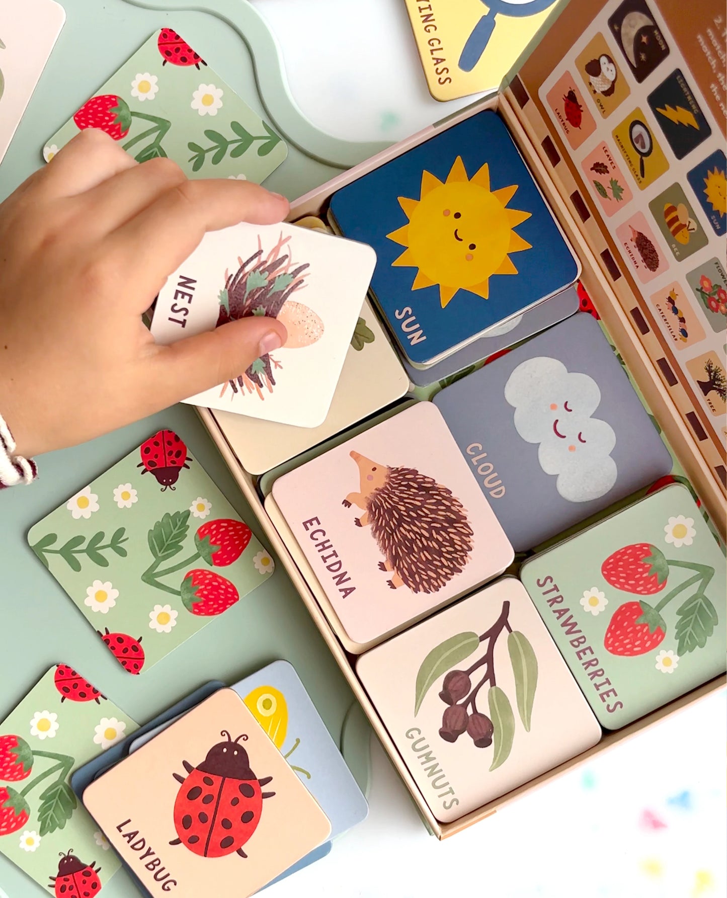 Lauren Sissons - Forest Finds Memory & Matching Game