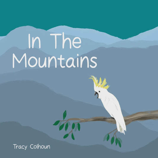 Red Parka - In The Mountains Board Book