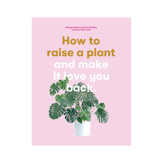 How to raise a plant and make it love you back